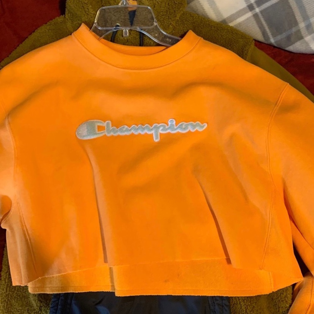 Champion sweater crop top long sleeve